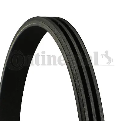 V-ribbed Belt